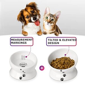 Y YHY Cat Food Bowls, Elevated Tilted for Food and Water, 2 Raised Cat Bowls Set with Tick Marks, for Flat-Faced Cats and Small Dogs - 12/16 OZ Ceramic