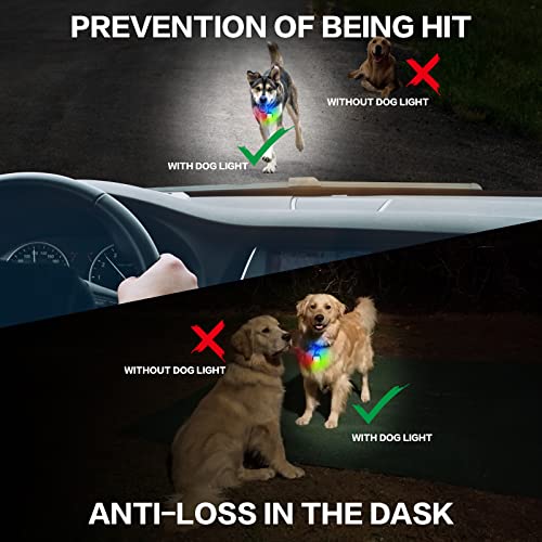 Dog Lights for Night Walking – Color Changing Dog Collar Light, 4 Modes Rechargeable Dog Light, IP65 Waterproof Dog Walking Light, Dog Flashlight for Running, Camping, Climbing, Bike, 2 Pack