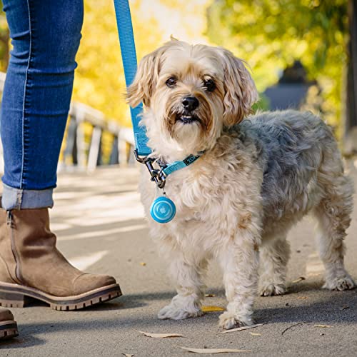 Nite Ize, Inc. WATP-03T-R6 Nite IZE Wearabout Clippable, Apple AirTag Locking Carabiner for Pets, Blue Tracker Holder