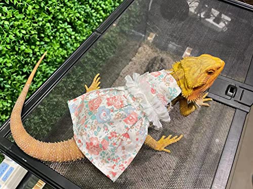 Lizard Dress for Bearded Dragon - Handmade Cotton Tutu Skirt with Lace Princess Sundress Halloween Costume Photo Cosplay Party for Reptile Lizard Bearded Dragon Crested Gecko Chameleon (M, Pink)