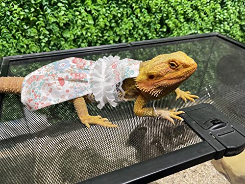 Lizard Dress for Bearded Dragon - Handmade Cotton Tutu Skirt with Lace Princess Sundress Halloween Costume Photo Cosplay Party for Reptile Lizard Bearded Dragon Crested Gecko Chameleon (M, Pink)