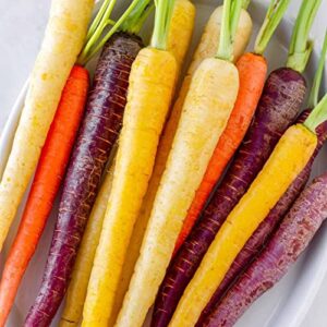 Rainbow Carrot Seeds for Planting | Non-GMO & Heirloom Vegetable Seeds | 750 Carrot Seeds to Plant Outdoor Home Garden | Buy Planting Packets in Bulk (1 Pack)