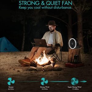 YONHISDAT Portable Camping Fan for Tents, 10000mAh Rechargeable Battery Fan, 8-inch Tent Fan with Foldable Handle for Camping Hiking Traveling