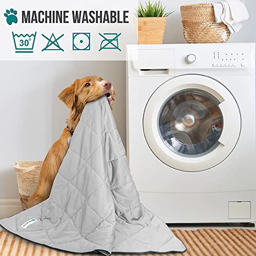 PetAmi Premium Cooling Dog Blanket | Lightweight Fluffy Pet Throw Blanket Bed Cover for Dogs, Cat, Puppies | Pet Blanket Furniture Protector Couch Sofa | Reversible Fuzzy Cozy | 29x40, Light Grey