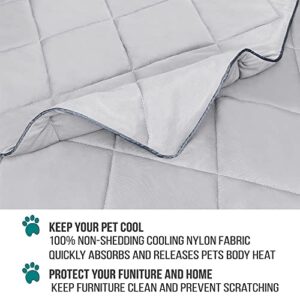 PetAmi Premium Cooling Dog Blanket | Lightweight Fluffy Pet Throw Blanket Bed Cover for Dogs, Cat, Puppies | Pet Blanket Furniture Protector Couch Sofa | Reversible Fuzzy Cozy | 29x40, Light Grey