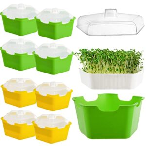 cedilis 8 pack seed sprouter tray with cover, plastic seed germination tray, bpa free, soil-free, great for garden home