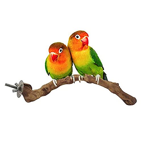 LKJYBG Bird Perch,Parrot Cage Perch,Wooden Platform for Birds,Natural Wild Grape Stick Bird Cage Accessories Play Stand,for Small Parakeets,Budgies,Cockatiels,Finches(25cm)