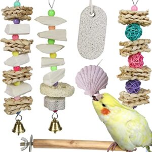 parrot chewing toys (6 pcs) natural cuttlebone bird beak trimmer grinding stone lava block calcium stone bird perch cage toys for small and medium parakeets, cockatiels, conures, budgies, lovebirds