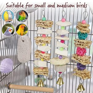 Parrot Chewing Toys (6 pcs) Natural Cuttlebone Bird Beak Trimmer Grinding Stone Lava Block Calcium Stone Bird Perch Cage Toys for Small and Medium Parakeets, Cockatiels, Conures, Budgies, Lovebirds