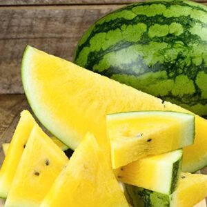 tomorrowseeds - yellow crimson watermelon seeds - 20+ count packet - for 2023 open pollinated non gmo sweet tropical exotic melon usa garden