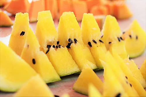 TomorrowSeeds - Yellow Crimson Watermelon Seeds - 20+ Count Packet - for 2023 Open Pollinated Non GMO Sweet Tropical Exotic Melon USA Garden