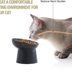 KITCHENLESTAR Small Ceramic Raised Cat Bowls, Tilted Elevated Food or Water Bowls, Stress Free, Backflow Prevention, Dishwasher and Microwave Safe, Lead & Cadmium Free(Black)