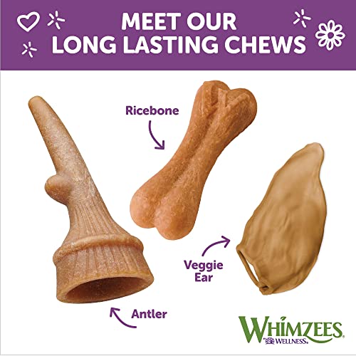 WHIMZEES by Wellness Occupy Antler Natural Dental Chews for Dogs, Long Lasting Treats, Grain-Free, Freshens Breath, Medium Breed, 12 count