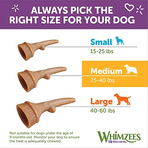 WHIMZEES by Wellness Occupy Antler Natural Dental Chews for Dogs, Long Lasting Treats, Grain-Free, Freshens Breath, Medium Breed, 12 count
