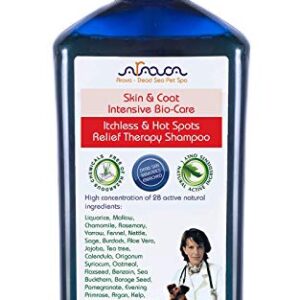 Arava Natural Medicated Dog Shampoo – Anti Yeast Anti Itch Dog Shampoo - Healthy Skin & Coat - First Aid in Hot Spots Ringworm Scrapes Abrasions & Dermatologic Infections - 400ml / 13.5 fl oz