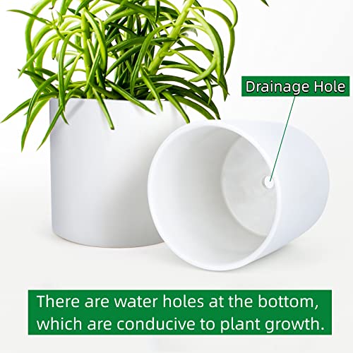 8 Inch Ceramic Plant Pot, Flower Pots for Plants with Drainage Hole, Indoor Planter Pot, White