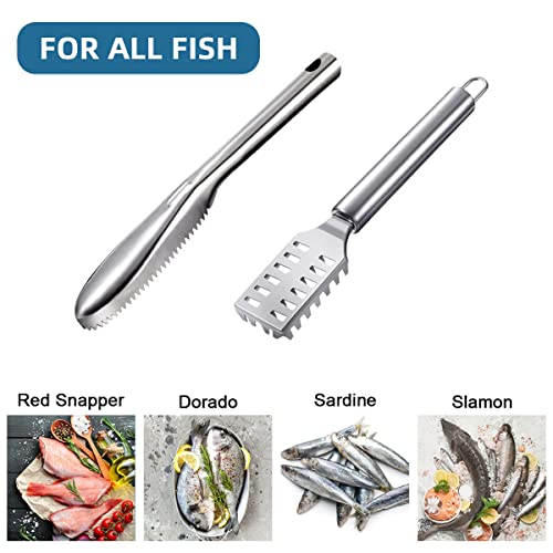 5 Pieces Fish Scaler Remover with Stainless Steel Sawtooth Easily Remove Fish Cleaning Scales Kit,Kitchen Fish Scaler Tool with Cut Resistant Gloves, Suitable for All Kinds of Fish