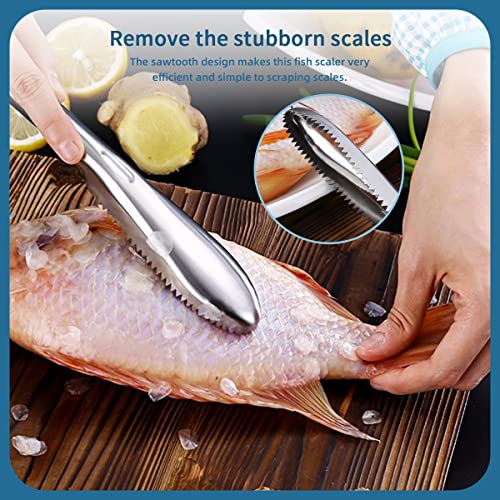 5 Pieces Fish Scaler Remover with Stainless Steel Sawtooth Easily Remove Fish Cleaning Scales Kit,Kitchen Fish Scaler Tool with Cut Resistant Gloves, Suitable for All Kinds of Fish