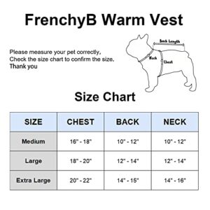 FrenchyB Dog Warm Vest for Small Dogs | Warm Pullover Dog Vest with Leash Attachment D-Ring on Back Windproof Soft Lined Dogs Vest (Large, Blue)