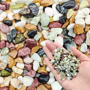 ZHUDDONG Gravel for aquarium-3LB Natural Mixed Color Gravel,Aquarium Gravel,Jade Bean Pebbles,for Outdoor & Indoor Home Plants Garden Decoration (Jade)