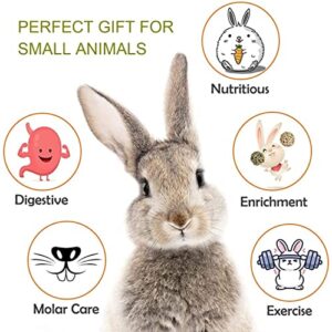 Guinea Pig Toys, Rabbit Toys for 100% Natural Materials, Rabbit Chew Toys for Rabbit Guinea Pig Teeth Grinding, Chinchilla Toys, effectivly Improve Dental Health, Relieve Anxiety (14 Pcs)