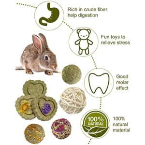 Guinea Pig Toys, Rabbit Toys for 100% Natural Materials, Rabbit Chew Toys for Rabbit Guinea Pig Teeth Grinding, Chinchilla Toys, effectivly Improve Dental Health, Relieve Anxiety (14 Pcs)