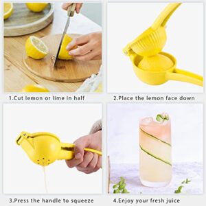 KITEXPERT Lemon Lime Squeezer, Manual Juicer Citrus Squeezer Press for Max Extraction, Ergonomic Fruit Hand Press Squeezer for Effortless Use and Easy to Clean