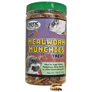 exotic nutrition mealworm munchies (1.9 oz.) - all natural healthy high protein insect treat - chickens, birds, hedgehogs, bluebirds, reptiles, sugar gliders, opossums, skunks, lizards, fish