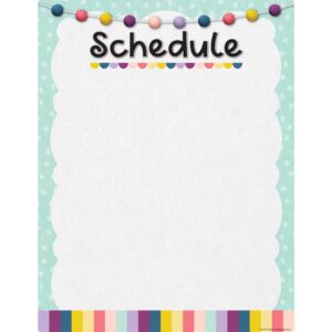 teacher created resources oh happy day schedule write-on/wipe-off chart, 17" x 22"