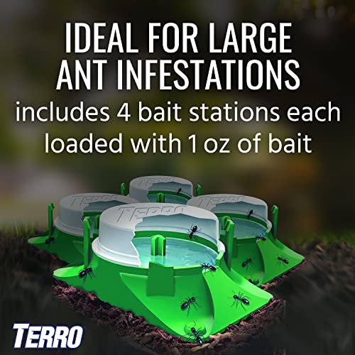 TERRO T1804-6 Outdoor Ready-to-Use Liquid Ant Bait Killer and Trap - Kills Common Household Ants - 4 Bait Stations