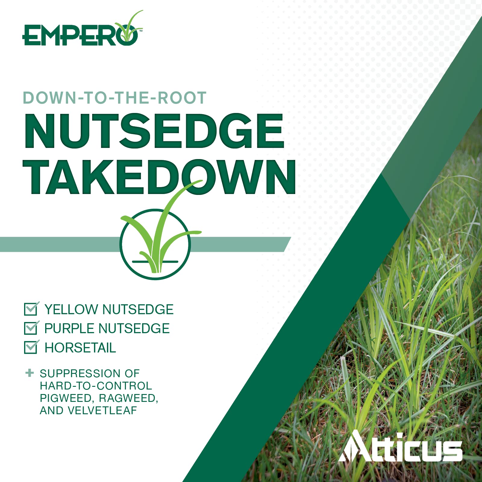 Empero Nutsedge Killer (1.33 oz) by Atticus (Compare to SedgeHammer) - Halosulfuron-Methyl 75% Turf Herbicide - Kills Nut Grass in Established Lawns, Ornamental Turfgrass, & Landscape Areas