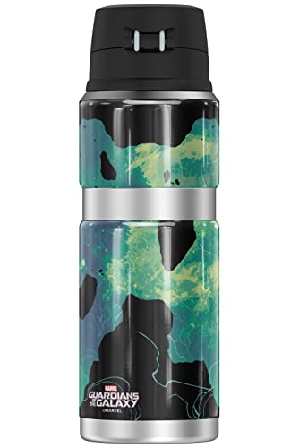 Guardians of the Galaxy Guardians Rocket And Groot THERMOS STAINLESS KING Stainless Steel Drink Bottle, Vacuum insulated & Double Wall, 24oz