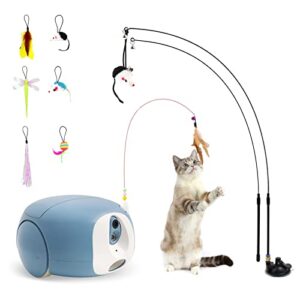 pumpkii pet camera robot, 1080p hd mobile, cat dog pet treat dispenser with app, cat toy teaser pet interactive feather toy, one suction cup, two holding cat sticks, and 5 replacement heads