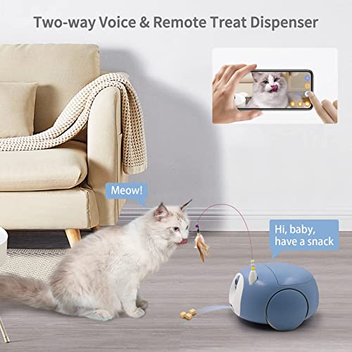 pumpkii Pet Camera Robot, 1080P HD Mobile, Cat Dog Pet Treat Dispenser with App, Cat Toy Teaser Pet Interactive Feather Toy, One Suction Cup, Two Holding Cat Sticks, and 5 Replacement Heads