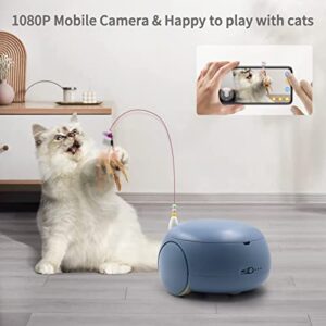 pumpkii Pet Camera Robot, 1080P HD Mobile, Cat Dog Pet Treat Dispenser with App, Cat Toy Teaser Pet Interactive Feather Toy, One Suction Cup, Two Holding Cat Sticks, and 5 Replacement Heads