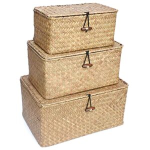 ticyack straw storages baskets with lid, hand-woven for seagrass, for desktop home decoration (s/m/l)