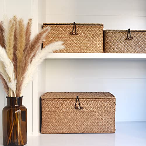 TICYACK Straw Storages Baskets With Lid, Hand-Woven for Seagrass, for Desktop Home Decoration (S/M/L)