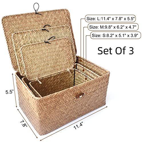 TICYACK Straw Storages Baskets With Lid, Hand-Woven for Seagrass, for Desktop Home Decoration (S/M/L)