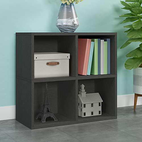 Way Basics 4 Cubby Bookshelf Cube Shelf Closet Organizer and Storage