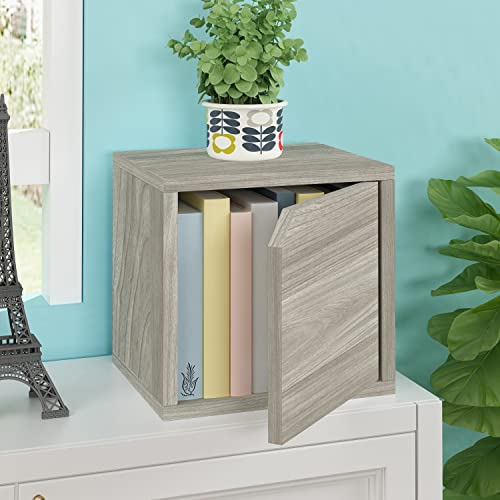 Way Basics Stackable Bookshelf Cube with Door Modular Closet Organizer and Storage (Tool-Free Assembly), Aspen Grey