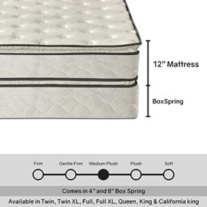 Mayton, 12-Inch Medium Plush Double Sided Pillowtop Innerspring Mattress with 8" Wood Box Spring, Queen