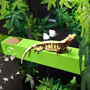 GECKOPIA Reptile Flex Bridge | Reptile Bridge | Gecko Bridge | Gecko Ledge | Reptile Vine | Reptile Terrarium Decoration | Reptile Branch Alternative (Green)