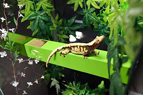 GECKOPIA Reptile Flex Bridge | Reptile Bridge | Gecko Bridge | Gecko Ledge | Reptile Vine | Reptile Terrarium Decoration | Reptile Branch Alternative (Green)