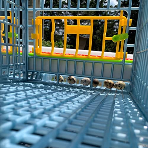 Quail Cage - 5 Layer (Power-Washable, Durable, ABS Plastic) | Hatching Time