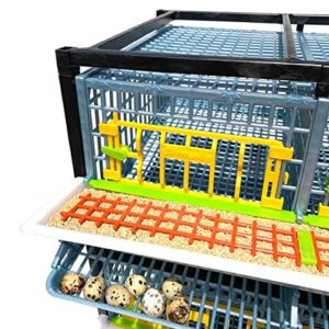 Quail Cage - 5 Layer (Power-Washable, Durable, ABS Plastic) | Hatching Time