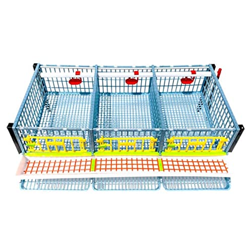 Quail Cage - 5 Layer (Power-Washable, Durable, ABS Plastic) | Hatching Time