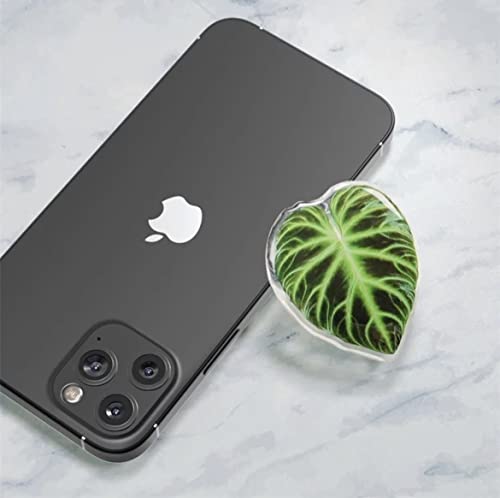Monstera Anthurium Philodendron Leaf Tropical Aroid Plant Phone Grip Handle for Phone & Tablet (Verrucosum)