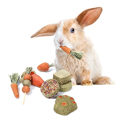 X-pet Rabbit Treats Guinea Pig Toys and Treats Bunny Chew Toys, Chinchilla Molar Toys, Timothy Hay Carrot Suitable for Guinea Pig, Hamster Chinchilla Rabbit Teeth Grinding and Chews