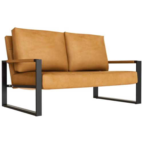 DKLGG Mid-Century Loveseats Sofa Couch, Solid Leathaire Loveseat Sofa, Upholstered Faux Leathaire Couch 2-Seat Metal Armchair, Lounge Accent Chair for Living Room, Small Space, Studio, Apartment