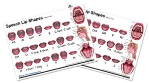 speech lip shapes chart, water-proof (a4 chart)